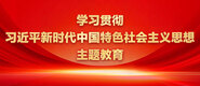 日逼日美人了学习贯彻习近平新时代中国特色社会主义思想主题教育_fororder_ad-371X160(2)